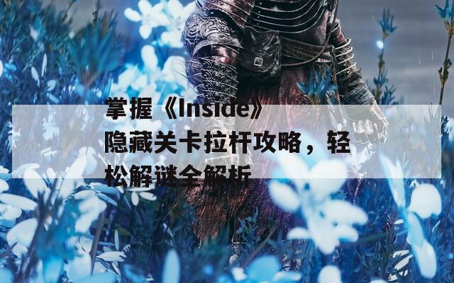 掌握《Inside》隐藏关卡拉杆攻略，轻松解谜全解析