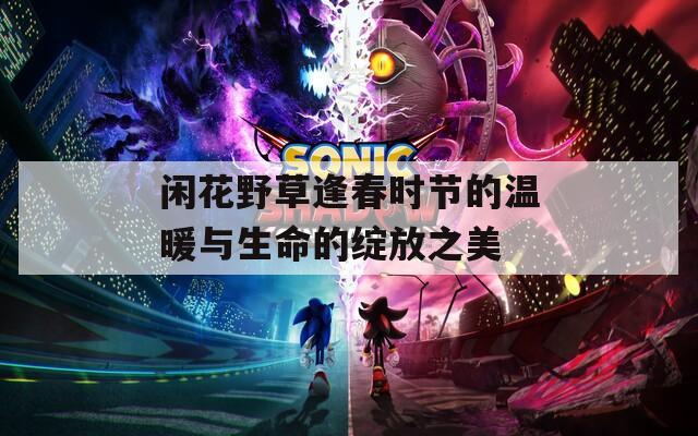 闲花野草逢春时节的温暖与生命的绽放之美