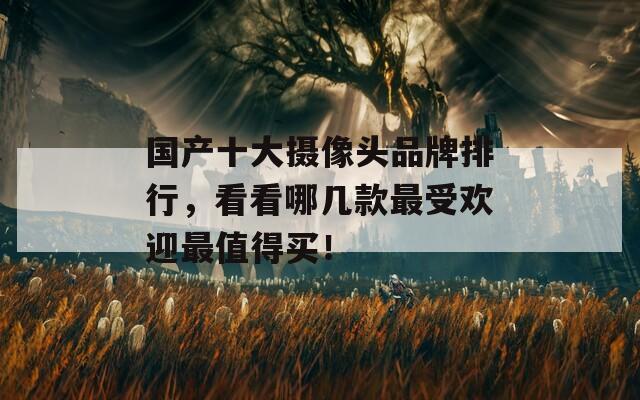 国产十大摄像头品牌排行，看看哪几款最受欢迎最值得买！