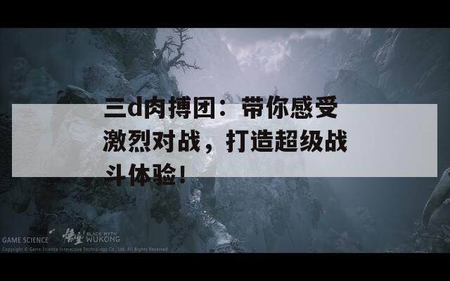 三d肉搏团：带你感受激烈对战，打造超级战斗体验！