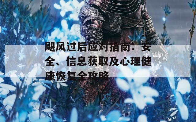 飓风过后应对指南：安全、信息获取及心理健康恢复全攻略