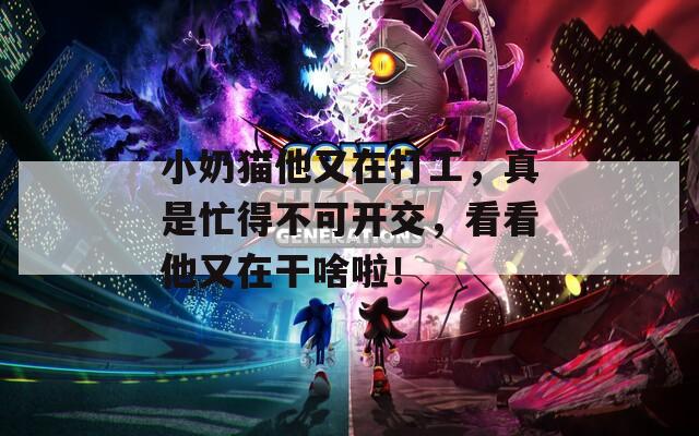 小奶猫他又在打工，真是忙得不可开交，看看他又在干啥啦！