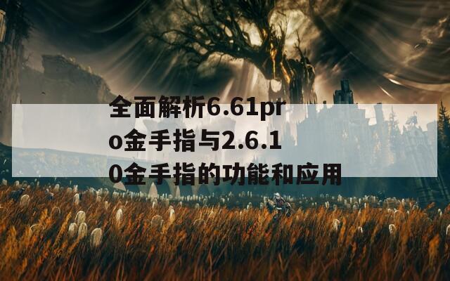 全面解析6.61pro金手指与2.6.10金手指的功能和应用