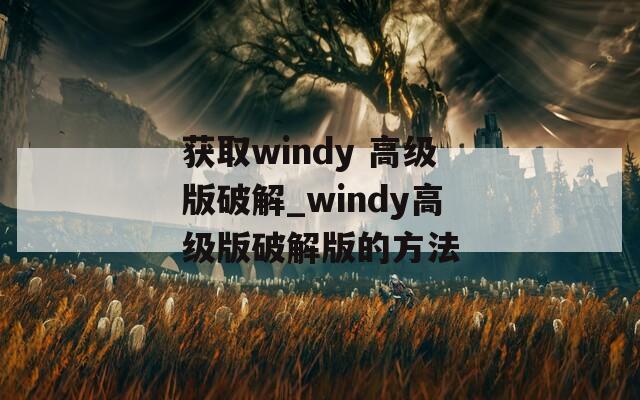 获取windy 高级版破解_windy高级版破解版的方法
