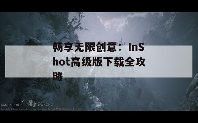 畅享无限创意：InShot高级版下载全攻略