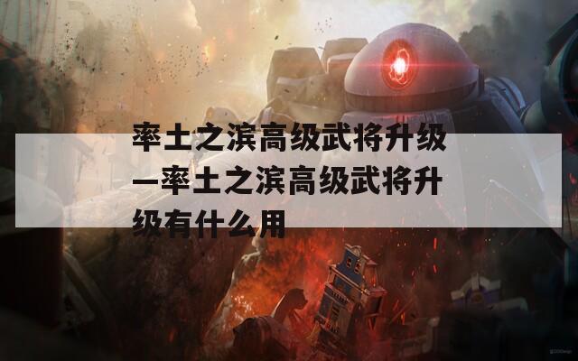 率土之滨高级武将升级—率土之滨高级武将升级有什么用