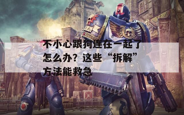 不小心跟狗连在一起了怎么办？这些“拆解”方法能救急
