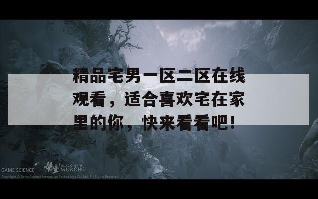精品宅男一区二区在线观看，适合喜欢宅在家里的你，快来看看吧！