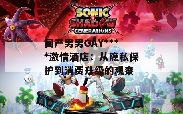 国产男男GAY****激情酒店：从隐私保护到消费升级的观察