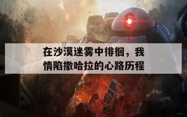 在沙漠迷雾中徘徊，我情陷撒哈拉的心路历程
