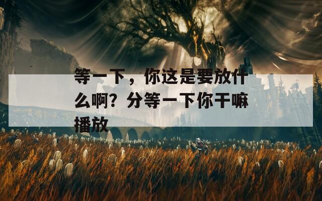 等一下，你这是要放什么啊？分等一下你干嘛播放