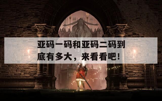 亚码一码和亚码二码到底有多大，来看看吧！
