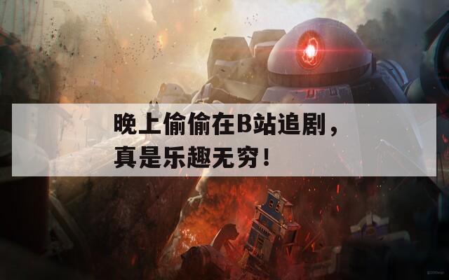 晚上偷偷在B站追剧，真是乐趣无穷！