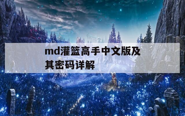 md灌篮高手中文版及其密码详解