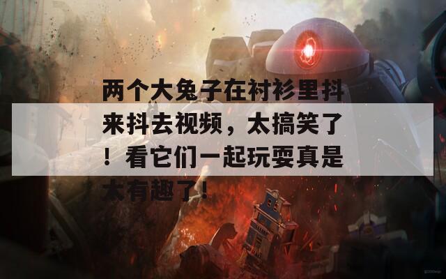 两个大兔子在衬衫里抖来抖去视频，太搞笑了！看它们一起玩耍真是太有趣了！