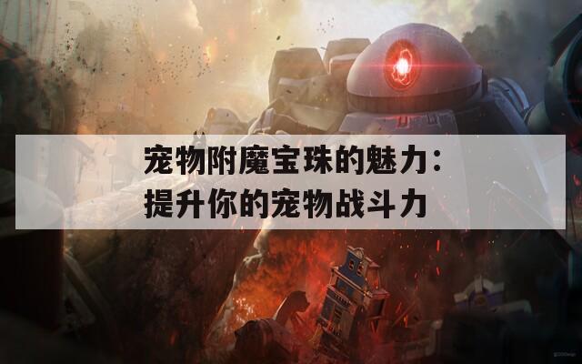 宠物附魔宝珠的魅力：提升你的宠物战斗力