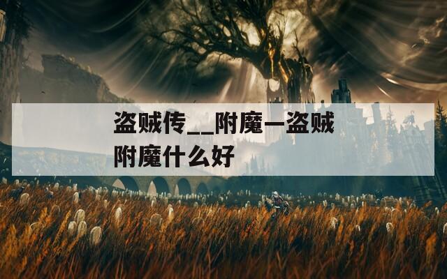 盗贼传__附魔—盗贼附魔什么好