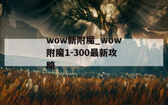 wow新附魔_wow附魔1-300最新攻略
