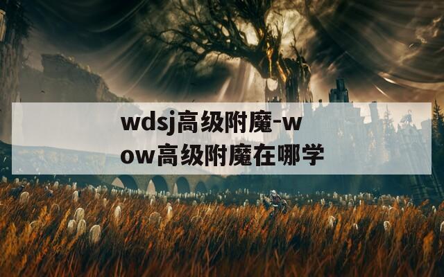wdsj高级附魔-wow高级附魔在哪学