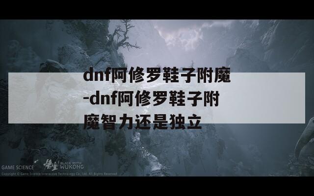 dnf阿修罗鞋子附魔-dnf阿修罗鞋子附魔智力还是独立