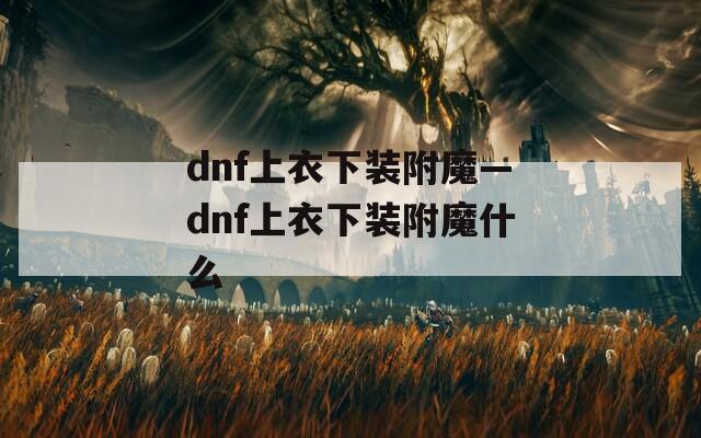 dnf上衣下装附魔—dnf上衣下装附魔什么