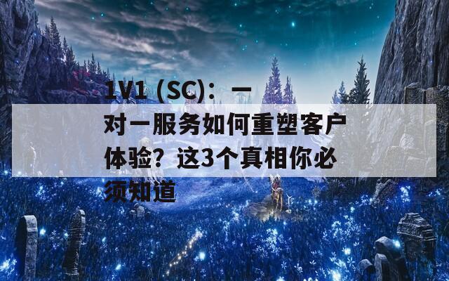 1V1 (SC)：一对一服务如何重塑客户体验？这3个真相你必须知道